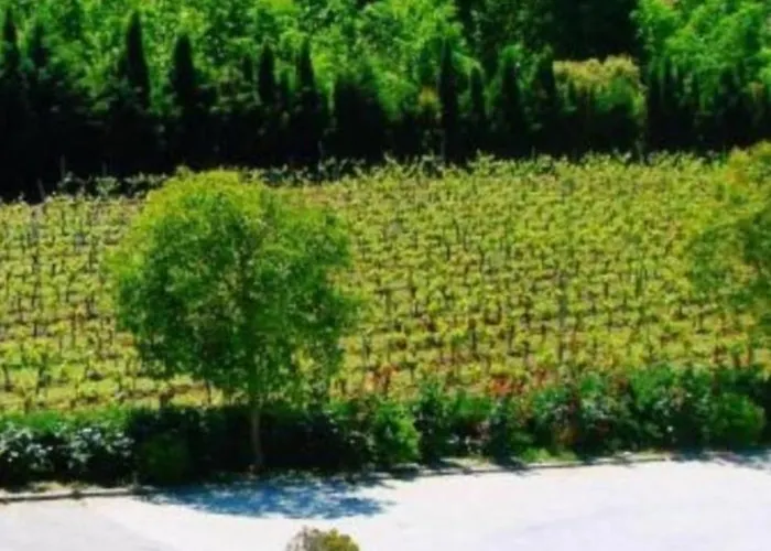 La Perlablanca Ronda